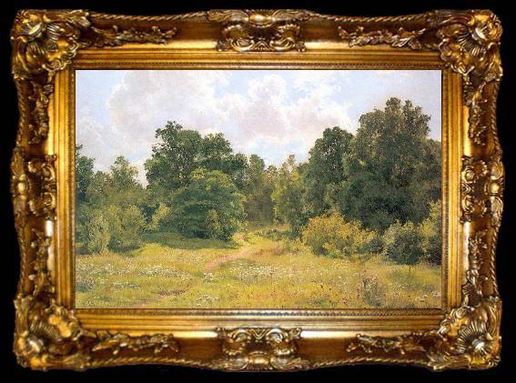 framed  Ivan Shishkin Deciduous Forest Edge, ta009-2
